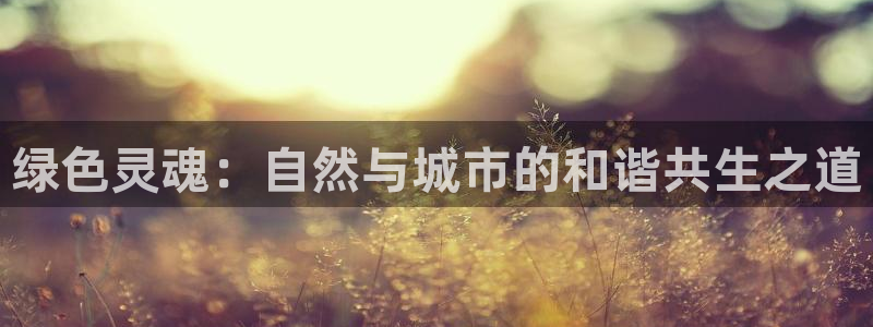 新宝gg主管花木兰