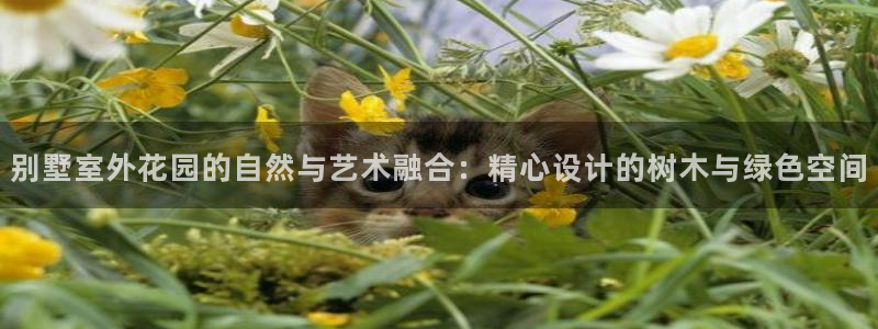 新宝GG无法充值