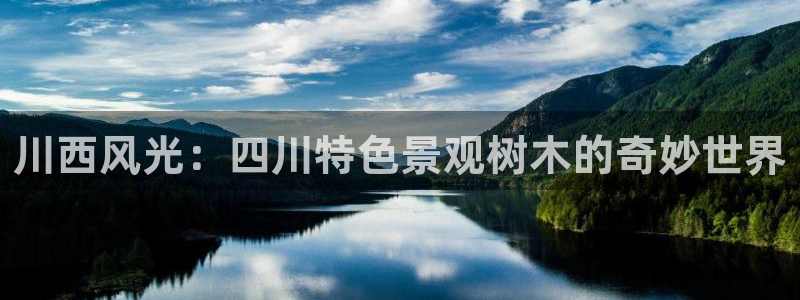 新宝gg开户