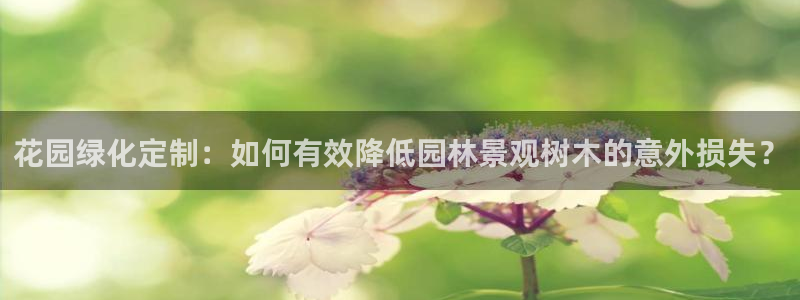 新宝gg主页
