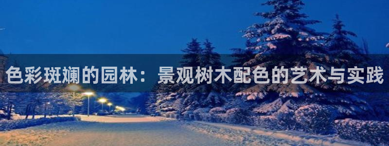 新宝gg平台开发
