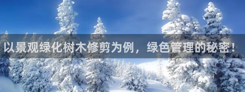 新宝gg一创造奇迹