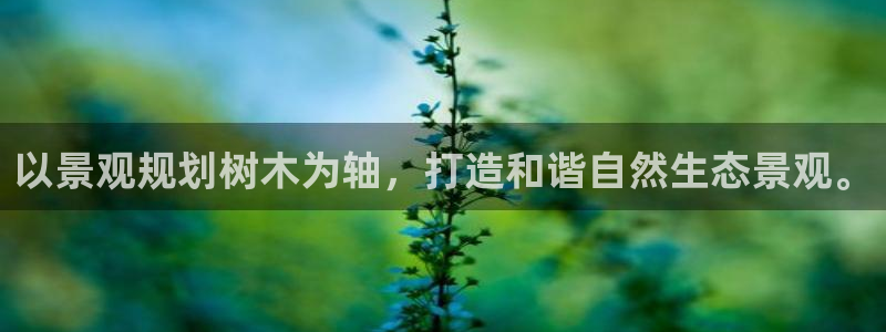 新宝gg合作