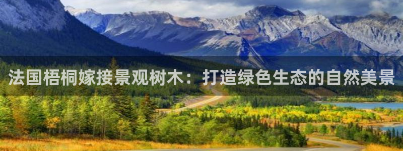 新宝gg重庆