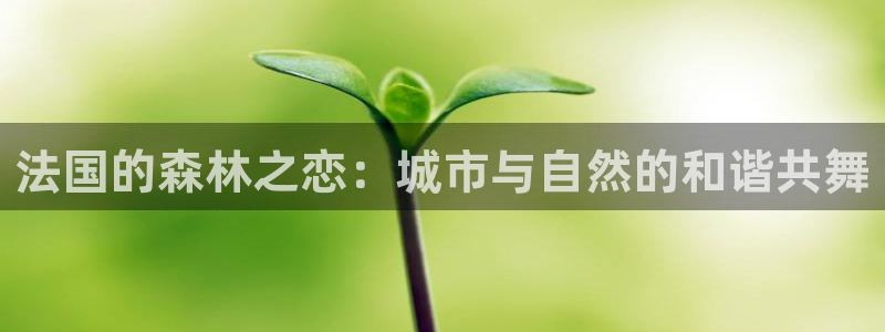 新宝gg主管