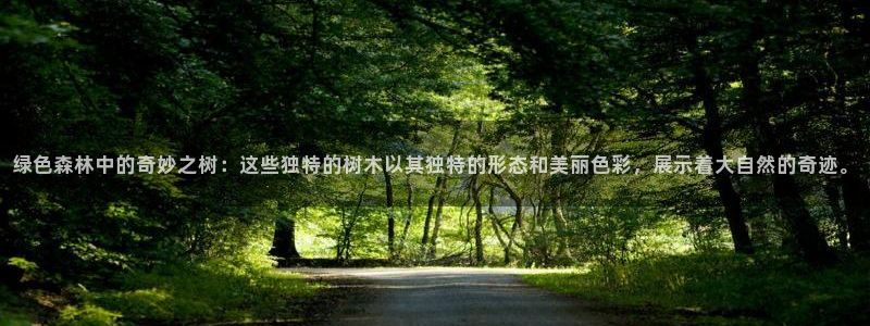 新宝gg佣金