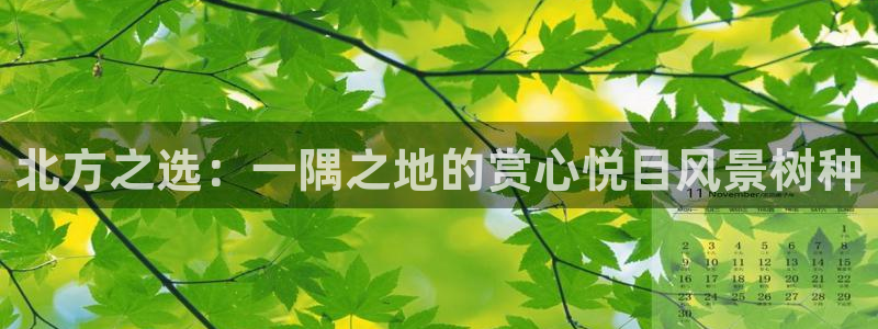 l新宝gg