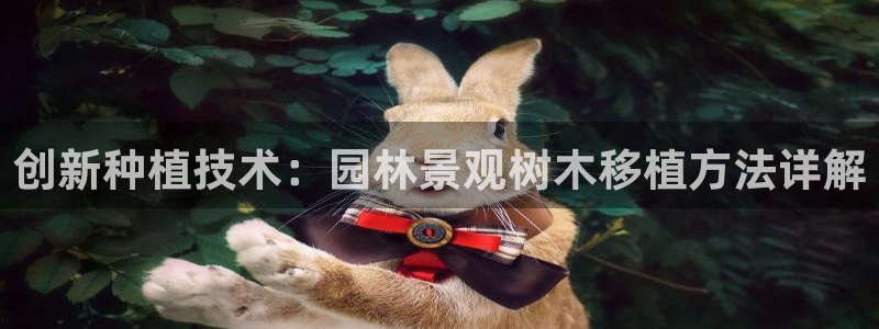 收新宝gg