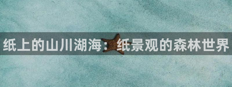 新宝GG最高返点多少