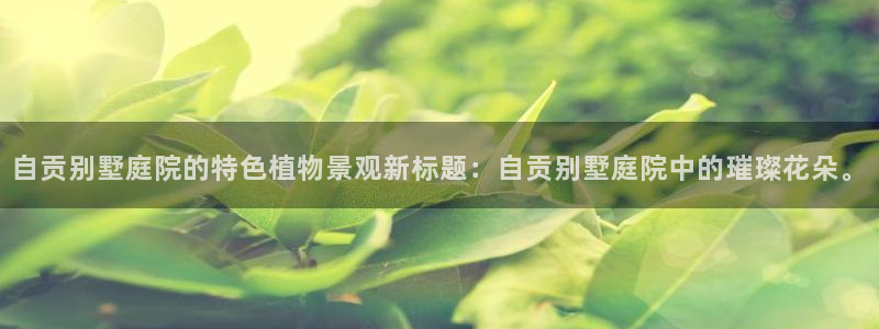 新宝gg   创造
