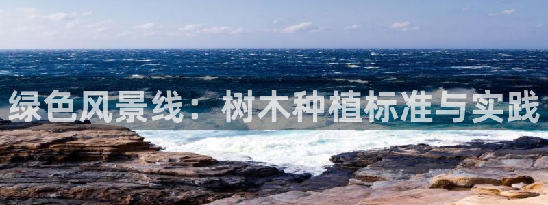 百度新宝gg