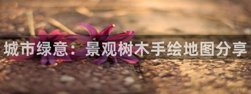 新宝gg选择75775