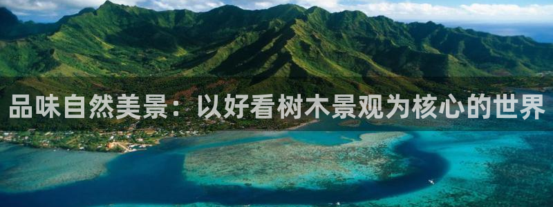 新宝娱乐gg