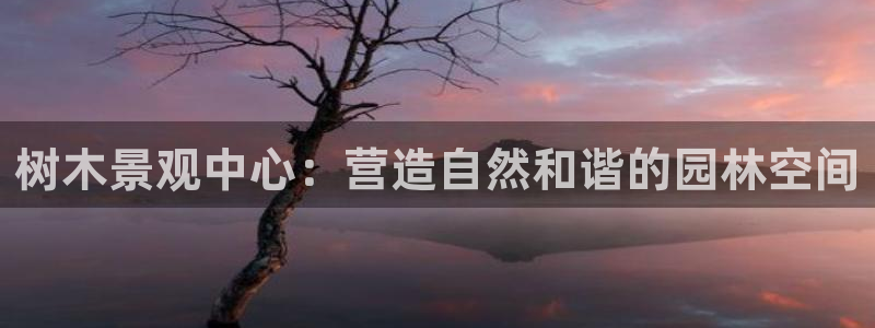 新宝GG专业团队