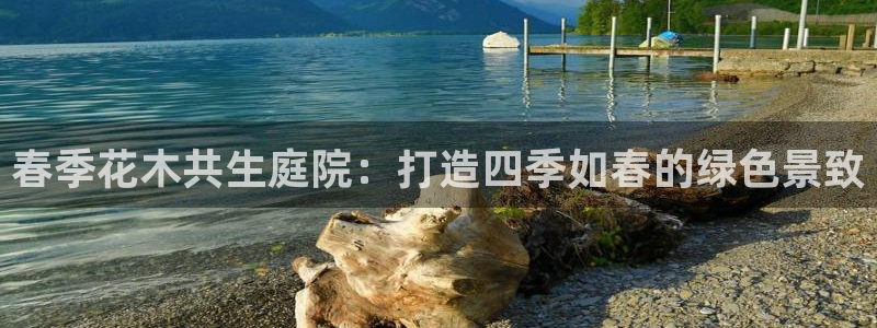 怎么下载新宝gg