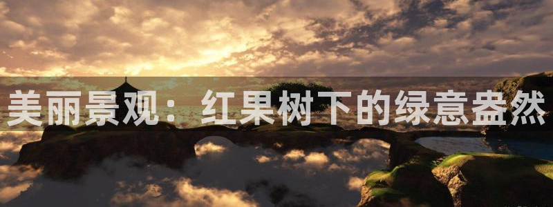 新宝GG手机客户端