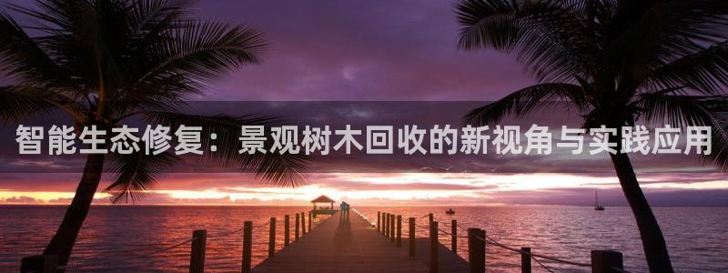 新宝GG于六七五一38