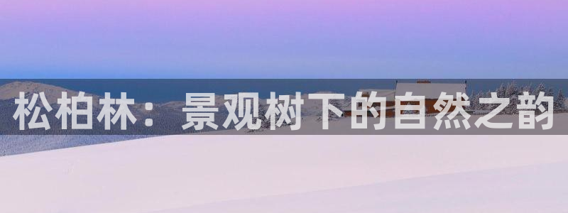 新宝gg招商致胜团队