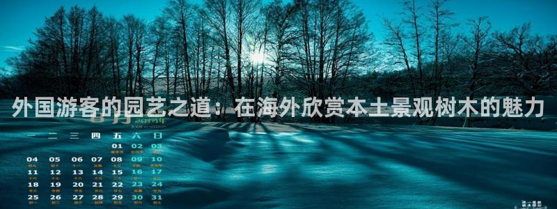 新宝gg登陆平台