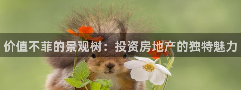 新宝gg有规律么