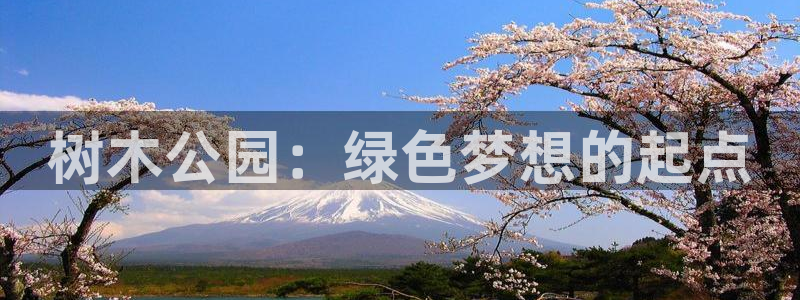 新宝gg首页平台