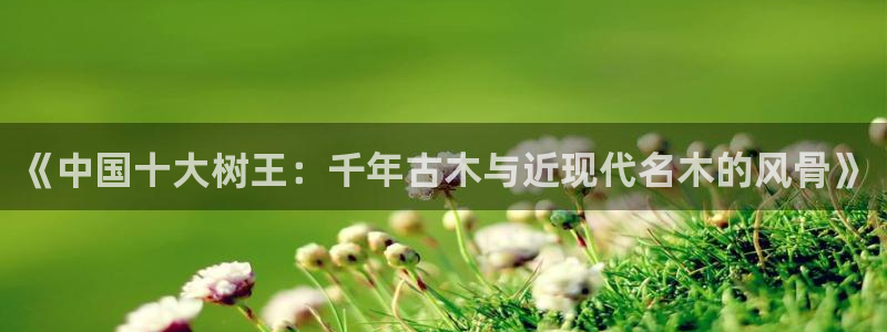 新宝gg娱乐-上鼎狐网