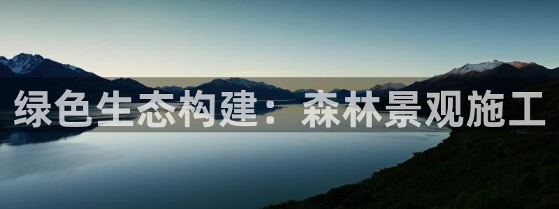 新宝gg登陆平台