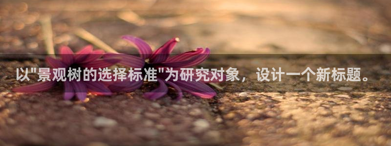 新宝gg dengludizhi