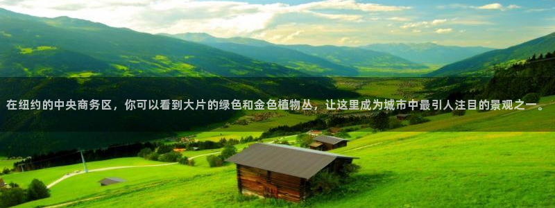 新宝Gg测速地址