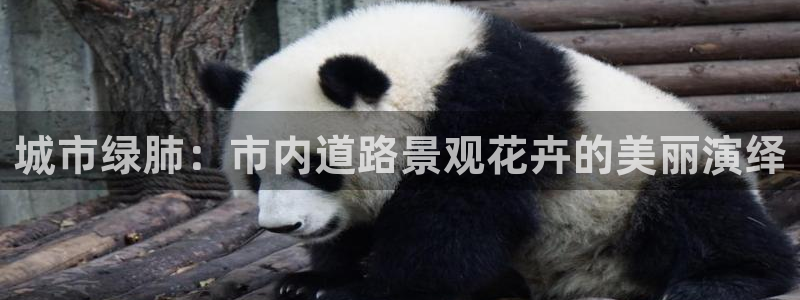 新宝GG管理：城市绿肺：市内道路景观花卉的美丽演绎