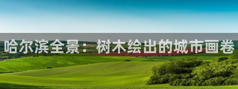 新宝gg娱乐平台：哈尔滨全景：树木绘出的城市画卷