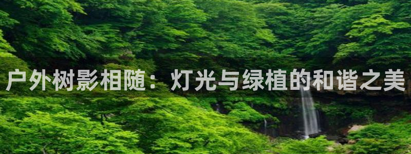 新宝gg平台开发：户外树影相随：灯光与绿植的和谐之美