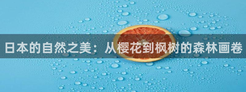 新宝gg app：日本的自然之美：从樱花到枫树的森林画卷
