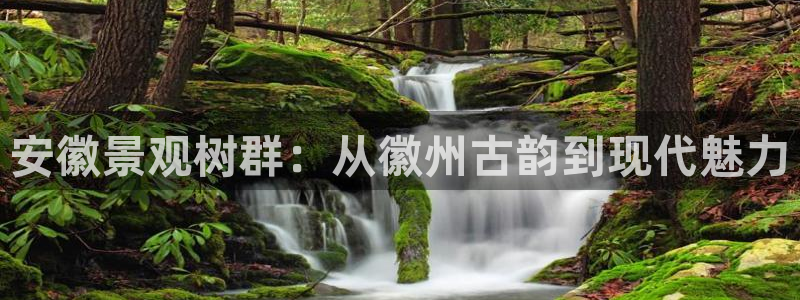 新宝gg官方下载