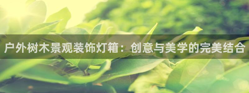 新宝gg论坛