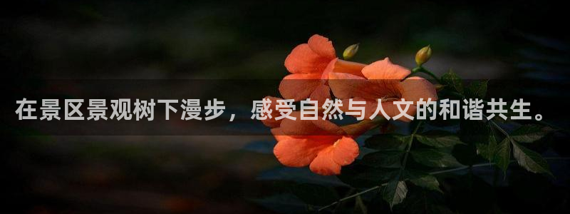 新宝gg网点