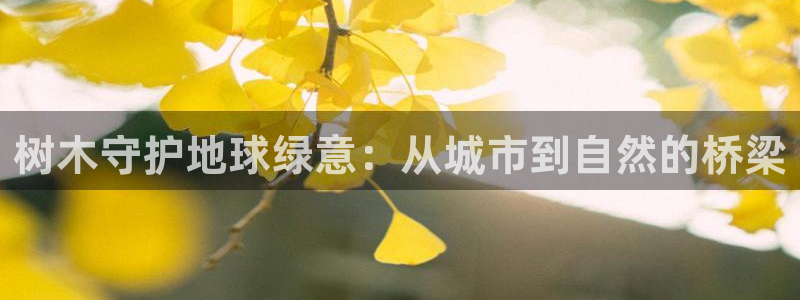 新宝gg主管48527
