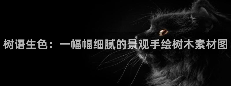 新宝gg娱乐1956