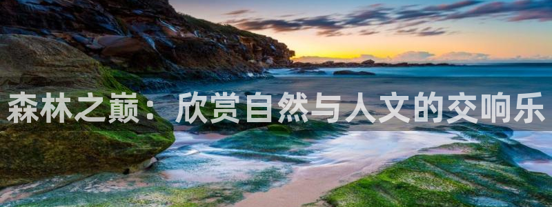 新宝gg客户端下载：森林之巅：欣赏自然与人文的交响乐