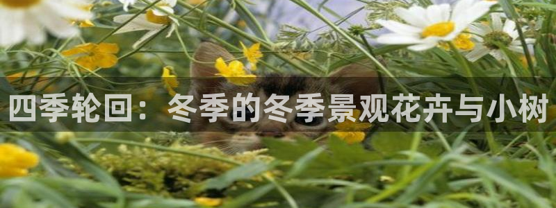 新宝gg金砖彩票：四季轮回：冬季的冬季景观花卉与小树
