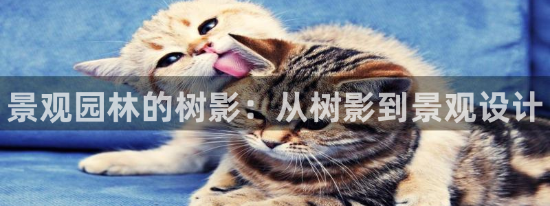新宝gg下载官网下载：景观园林的树影：从树影到景观设计