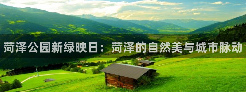 新宝gg创造奇迹平台：菏泽公园新绿映日：菏泽的自然美与城市脉动