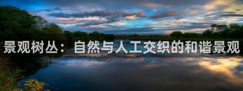 新宝gg主管都是谁